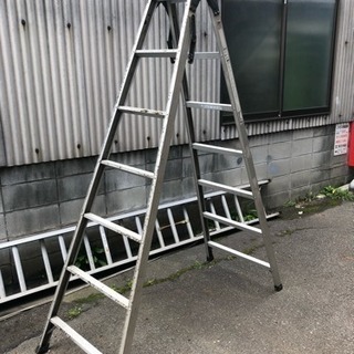 中古脚立