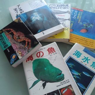 海の魚　海水魚　図鑑　各種