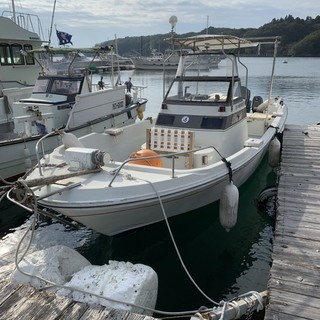 ヤマハ　レジャーボート　２５フィート　船
