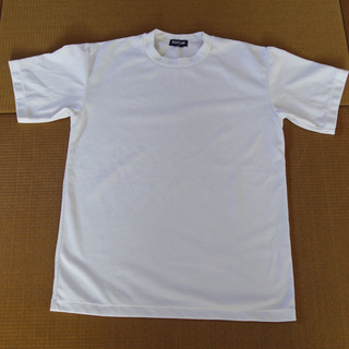 体操服にも 白メンズtシャツ Mサイズ 着丈63センチ Picata 大田のtシャツ メンズ の中古 古着あげます 譲ります ジモティーで不用品の処分