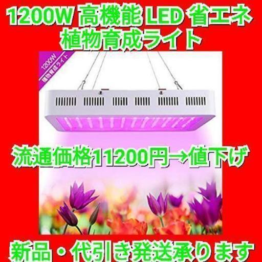 1200W LED植物育成ライトWAKYME調光可能な全フルスペクトル 2つのスイッチ植物ライト 室内植物成長ライト 屋内植物