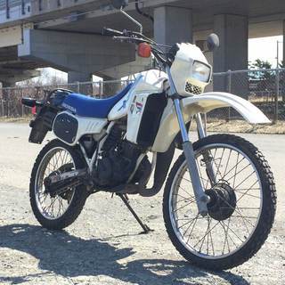 ★希少！フルサイズ原付 MTX50R AD06 始動動画有 レストアベース★交換下取り上取り可札幌