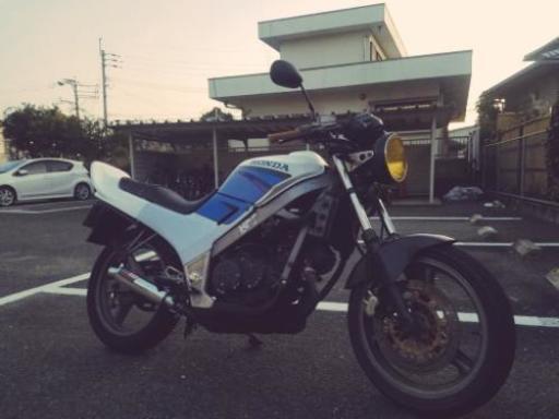 取り引き中 VTZ250 交換希望 | ddpu.co.uk