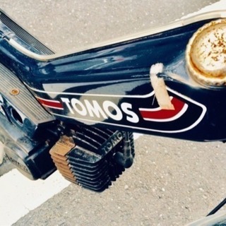 早期お取引き希望 TOMOS トモス 