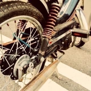 早期お取引き希望 TOMOS トモス 