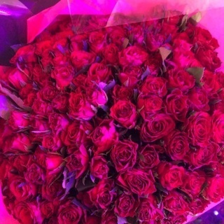 バラ 花束 144本
