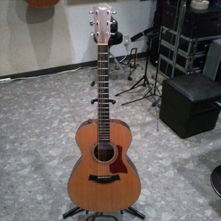 Taylor 312e 10本しか作られていない限定モデル　美品