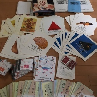 家庭保育園 幼児教育 ドーマン 七田 ドッツカード 絵カード