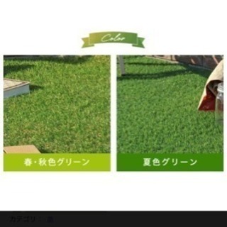 高級人工芝 芝丈35mm