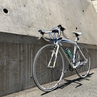 Bianchi SORA  NIRONE 7 53cm  ビアンキ