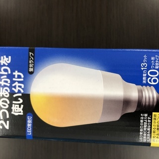 EFA15ED/13-N　電球形蛍光ランプ