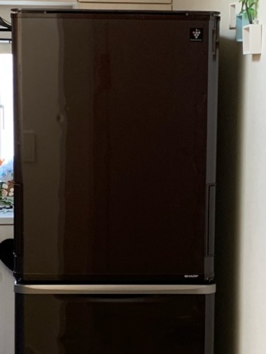 SHARP 2015年製冷蔵庫