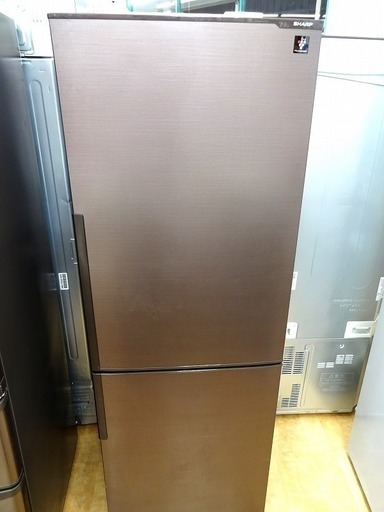 【トレファク摂津店　店頭限定】SHARPの2ドア冷蔵庫入荷しました。