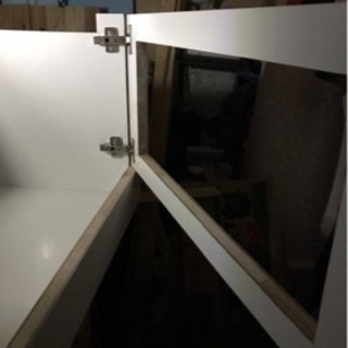 爬虫類  飼育ゲージ セット フトアゴ