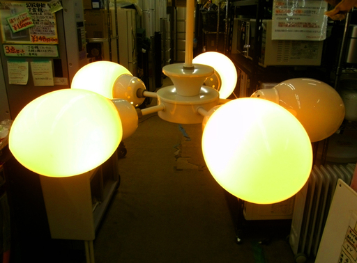 札幌 デライトコーポレーション 40W 照明器具 ライト ペンダントライト 電球色 本郷通店