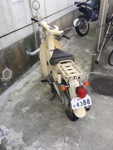 リトルカブ