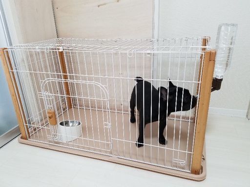 お試し価格！】リッチェル バンビーノ ドッグサークル 超小型・小型犬 ...