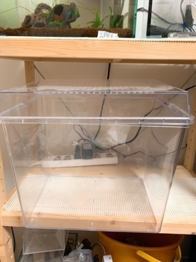 最初値下げ 飼育ケース デジケース 虫かご 水槽 なみみ 尼崎のその他の中古あげます 譲ります ジモティーで不用品の処分