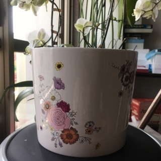 植木鉢、花鉢の画像