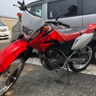 ホンダXR230/MD36セル1発始動！ ホンダXR230/MD36セル1発始動！