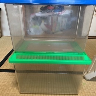 中古 虫かご 2セット 4/26処分