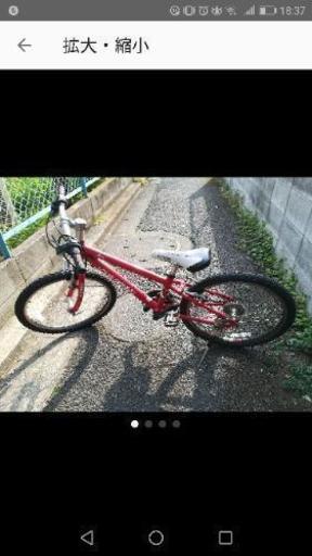 ルイガノ　自転車　子供　サイズ