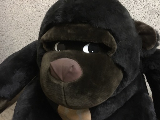 ゴリラ 特大 ぬいぐるみ 俺 社長の代理 幅80cm 奥行60cm 高さ60cm とも 鴻池新田のその他の中古あげます 譲ります ジモティーで不用品の処分 ゴリラ 特大 ぬいぐるみ 俺 社長の代理 幅80cm 奥行60cm 高さ60cm とも 鴻池新田のその他の中古あげます 譲ります ジモティーで不用品の処分