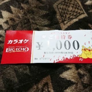 カラオケ BIG ECHO 3000円分