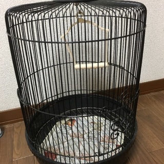 鳥かご   インコなどの小鳥用に！数日使用のみ 美品