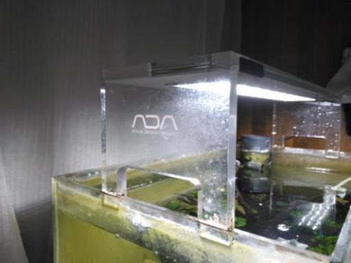 ADA ライト付水槽一式