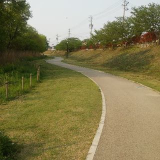 ソフトボール − 愛知県