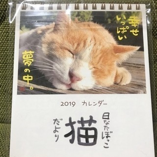 2019猫だよりカレンダー［新品］