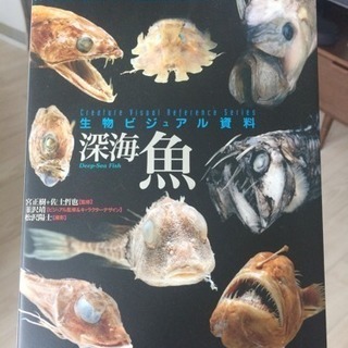 深海魚図鑑生物ビジュアル資料