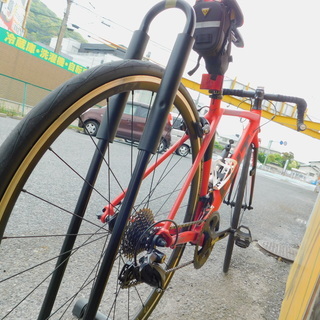エコプラス小倉南店】Felt Bicycles FR30 2017 スタッフ向井オススメ