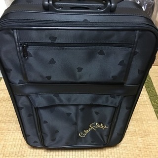 中古 キャリーバッグ 受取日限定5/6(月)