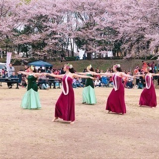 🌈熊谷、深谷フラダンス🌈経験者クラス