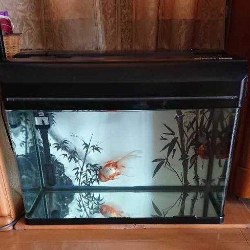 金魚 琉金 2匹及び水槽 濾過等セット 相原清孝 海田市のその他の中古あげます 譲ります ジモティーで不用品の処分 金魚 琉金 2匹及び水槽 濾過等セット 相原清孝 海田市のその他の中古あげます 譲ります ジモティーで不用品の処分