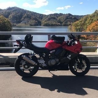 HYOSUNG GT 250R 希少キャブ車 (赤黒) | aucklandnightmarkets.co.nz