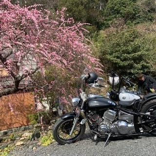 アメリカンバイクツーリング仲間募集