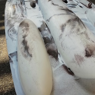 フロートボートより軽い★車内に積めるミニボート フロートボートより軽い☆車内に積めるミニボート