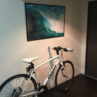 期間限定値下げ！【走行距離30キロ未満】ジャイアント エスケープRX3 M