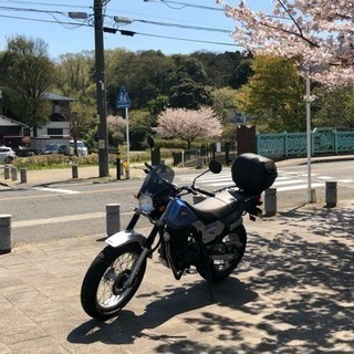 TW200 ほぼノーマル 自賠責保険 33/1まであります 交換可 TW200 ほぼノーマル 自賠責保険 33/1まであります 交換可