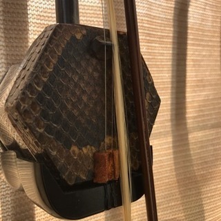 胡弓 民族楽器 練習用 皮張り 