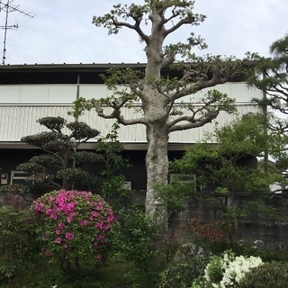 🌈岐阜市アパート🌿畑付き🌈静かな住宅地🚙駐車場3台ok🙆‍♀️ロ...