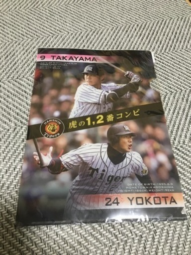 断捨離中！手に入らないもののタイガースクリアファイル