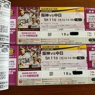 野球 5／11 阪神vs中日 甲子園 レフト  ペア