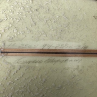 ハワイアンプロデザイン】 ドナルド・タカヤマ モデルT