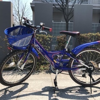 ブリジストン 自転車 22 インチ