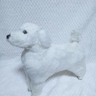 犬マネキン トリミング トリマー お取引再開しました 仙台のその他の中古あげます 譲ります ジモティーで不用品の処分