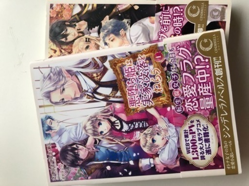 悪堕ち姫は実家没落をねらう うさぎ 四日市の生活雑貨の中古あげます 譲ります ジモティーで不用品の処分